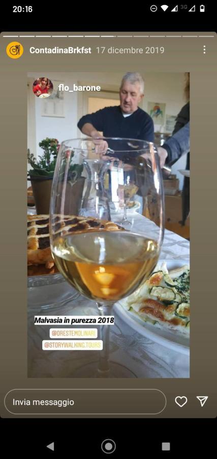 Poggio Agli Ulivi Vila Frascati Exterior foto