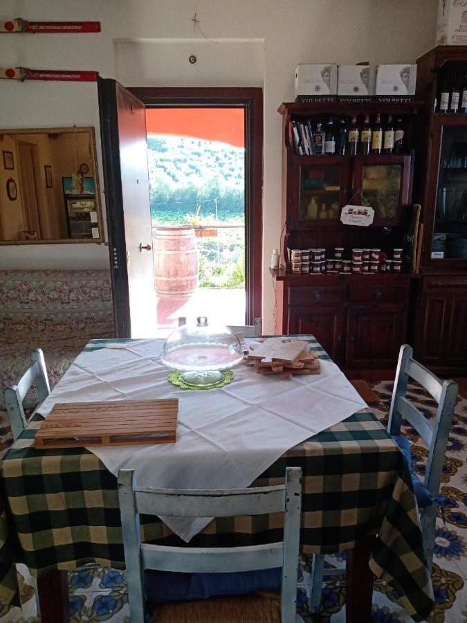 Poggio Agli Ulivi Vila Frascati Exterior foto