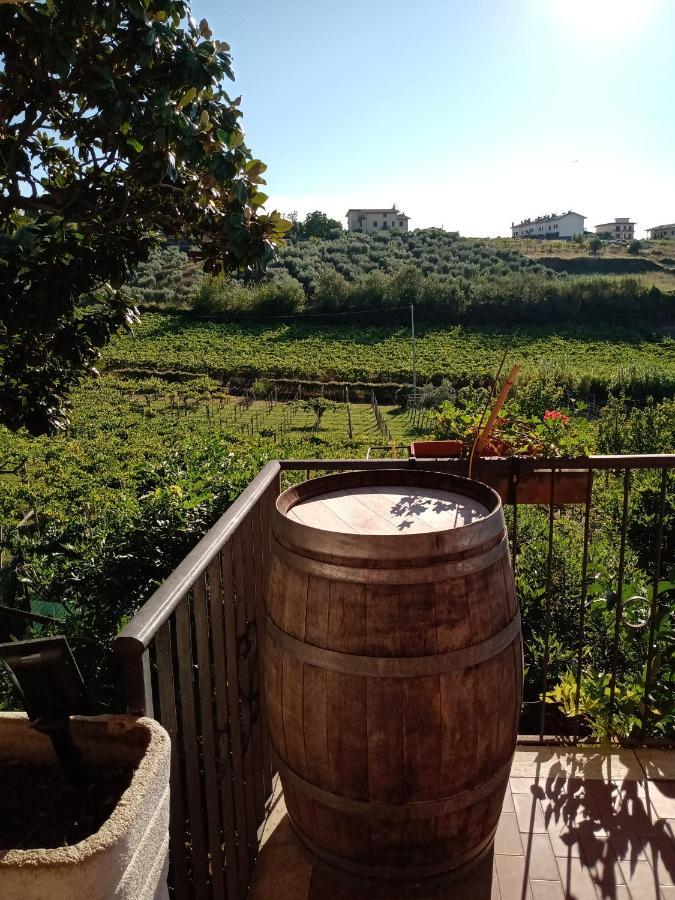 Poggio Agli Ulivi Vila Frascati Exterior foto