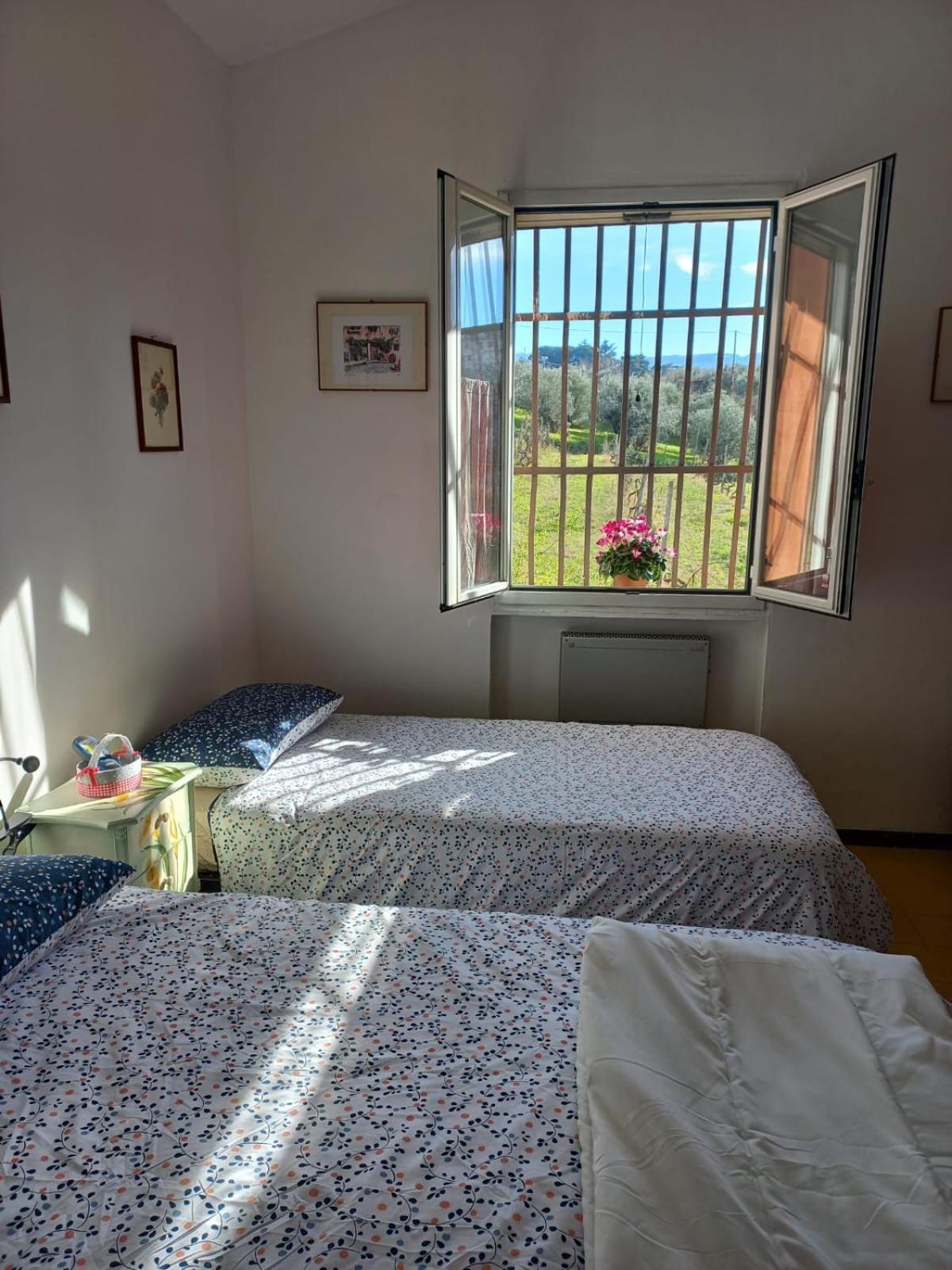 Poggio Agli Ulivi Vila Frascati Quarto foto